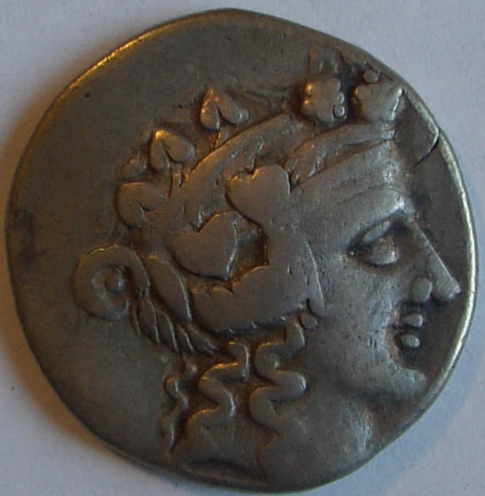 My-First-Ancient-Coin-Purchase